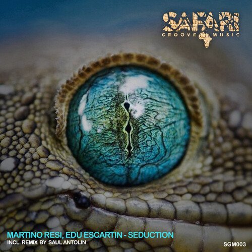 Seduction (Saul Antolin Remix) cover art