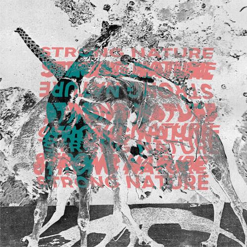 foggy lake (Ni_so Remix) cover art