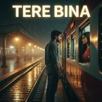 Tere Bina