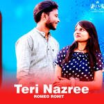 Teri Nazree