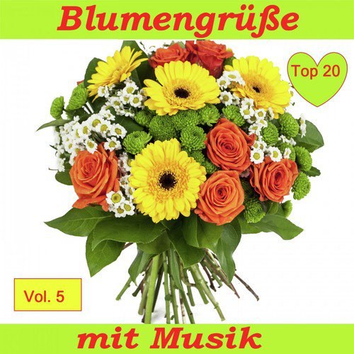 Top 20: Blumengrüße mit Musik, Vol. 5