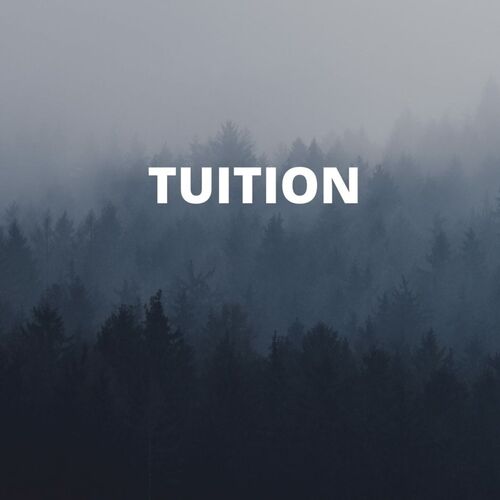 Tuition_poster_image