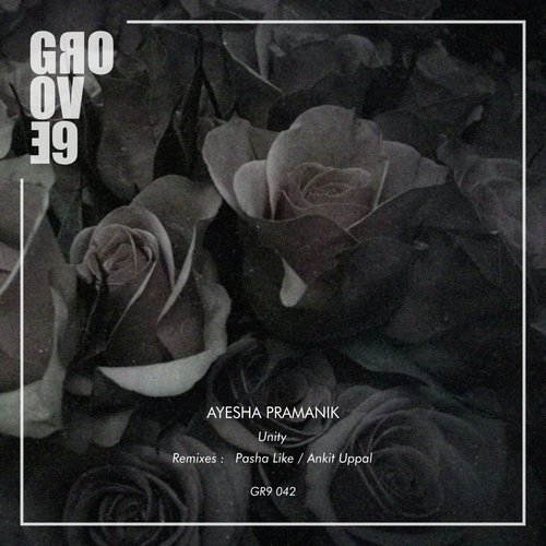 Unity (Pasha Like Remix) cover art