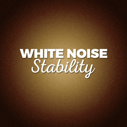 White Noise: Stability