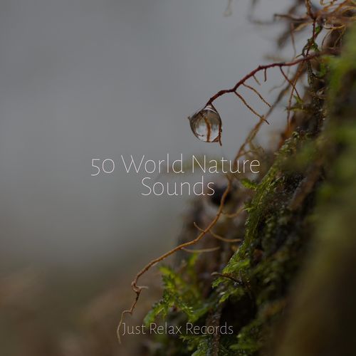 50 World Nature Sounds