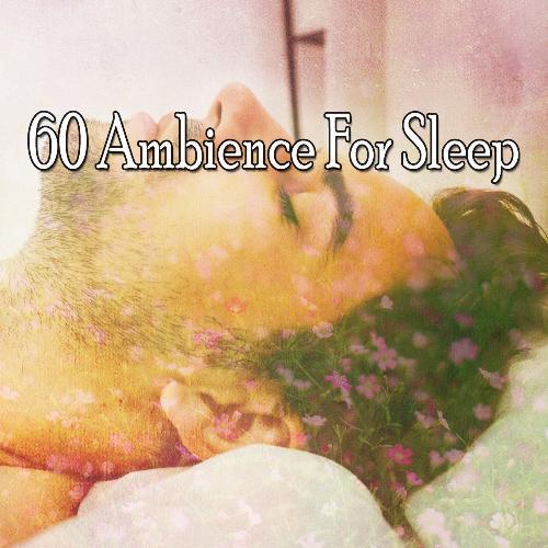 60 Ambience For Sleep
