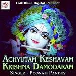 Achyutam Keshavam Krishna Damodaram