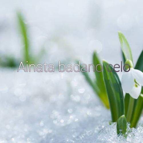Aniata badano celo