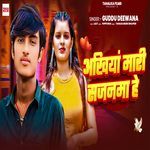 Akhhiya Mari Sajanma He