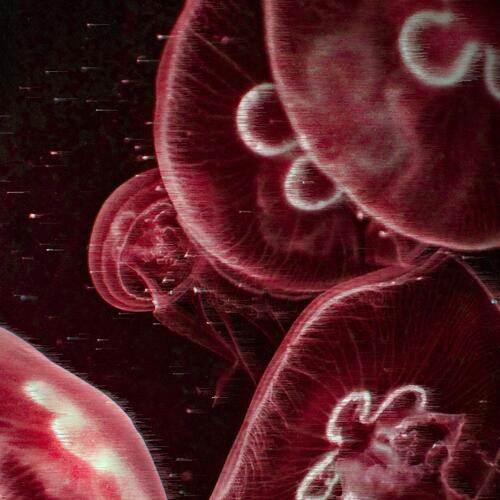 Candela (Slowed)