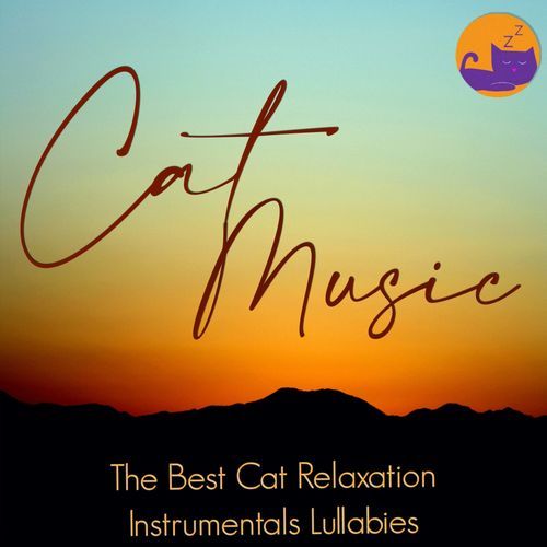 Cat Music Therapy cover art