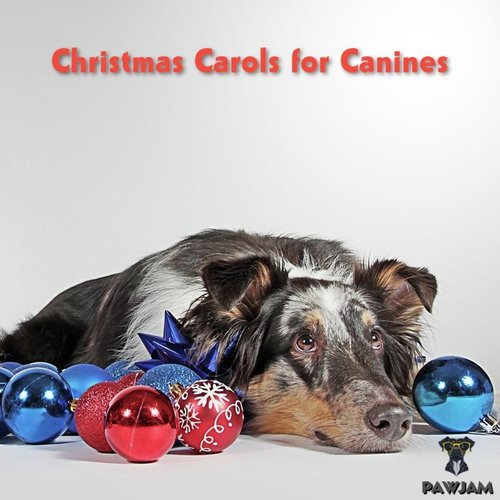 The Twelve Chew Toys of Christmas cover art