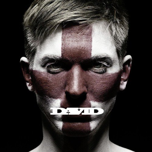 David cover art