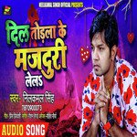 Dil Todala Ke Majduri Lela