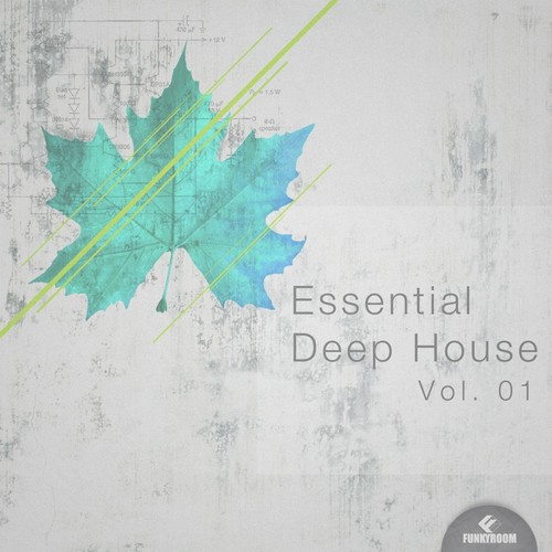 Essential Deep House, Vol. 01