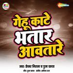 Gehu Kate Bhatar Aawa Tare