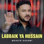 Labbaik Ya Hussain