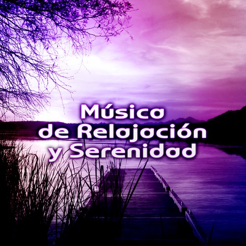 Budismo Zen cover art