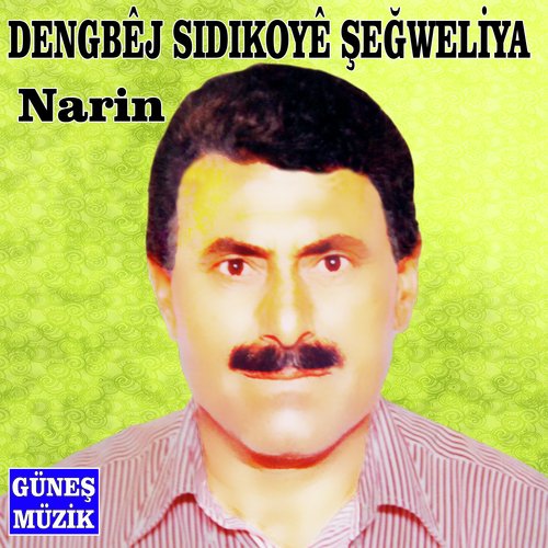 Lêlê Dilber cover art