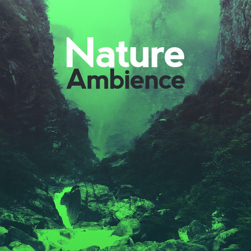 Water Source cover art