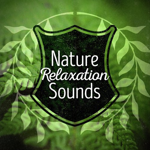 Nature: Relaxation Sounds