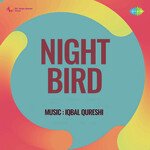 Night Bird