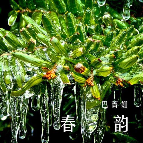 春秋 cover art