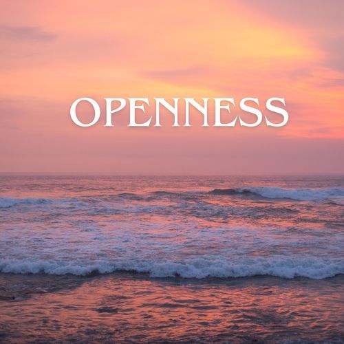 Openness