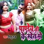 Pandey Ji Ke khet Me