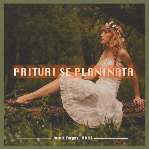 Prituri Se Planinata cover art