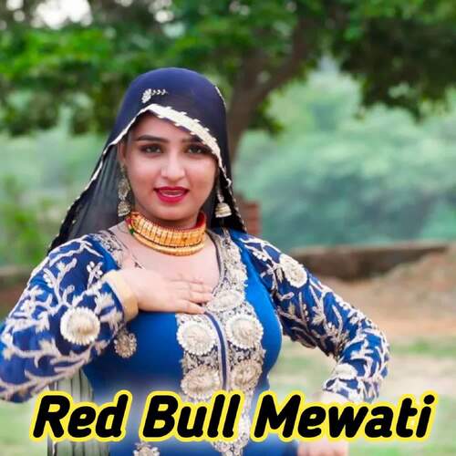 Red Bull Mewati