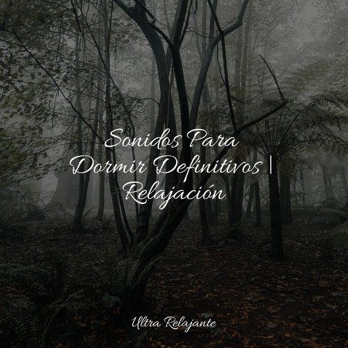 Serenidad cover art