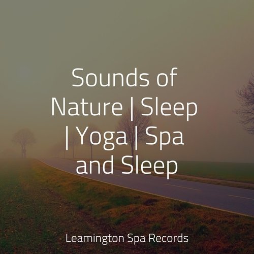 Sounds of Nature | Sleep | Yoga | Spa and Sleep