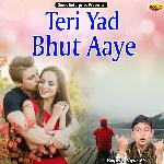 Teri Yad Bhut Aaye (Ghazal)