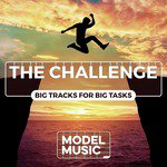 The Challenge: Big Tracks for Big Tasks
