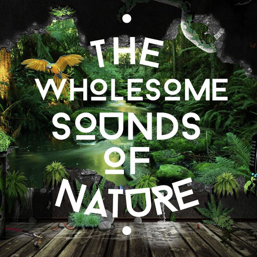 The Wholesome Sounds of Nature_poster_image