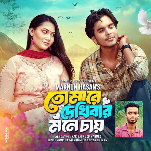 Tomare Dekhibar Mone Chai