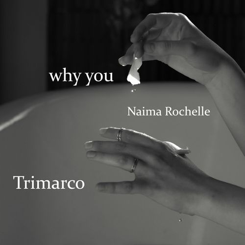 Why You cover art