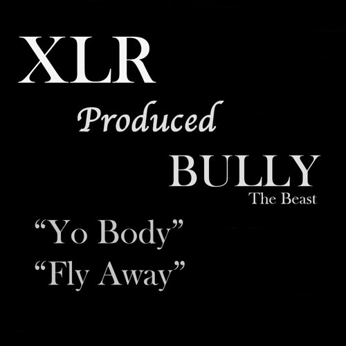 Yo Body (feat. Bully the Beast) cover art