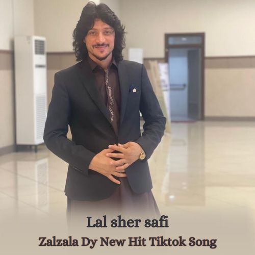 Zalzala Dy New Hit Tiktok Song