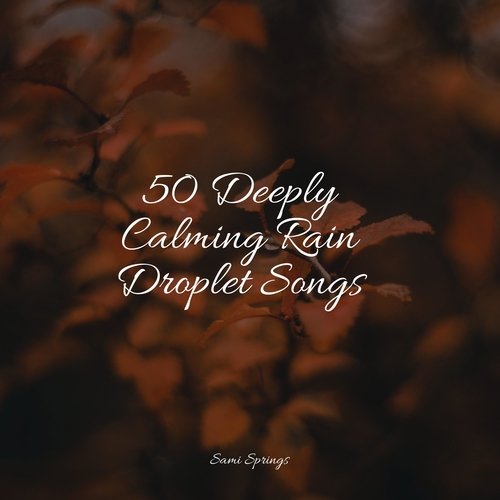 50 Deeply Calming Rain Droplet Songs_poster_image