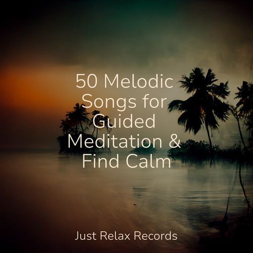 50 Melodic Songs for Guided Meditation & Find Calm_poster_image