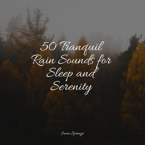 50 Tranquil Rain Sounds for Sleep and Serenity_poster_image