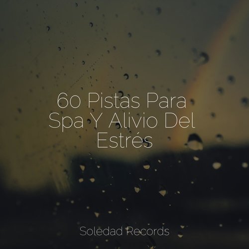 60 Pistas Para Spa Y Alivio Del Estrés_poster_image