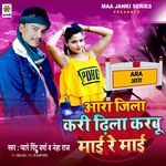 Aara Jila Kari Dhila Karbu Mai Re Mai