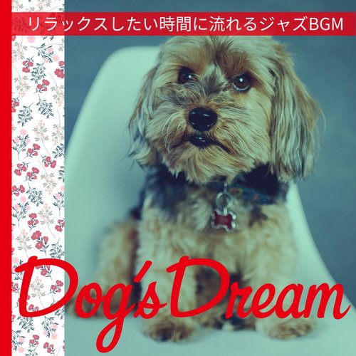 Cafe's Dream cover art
