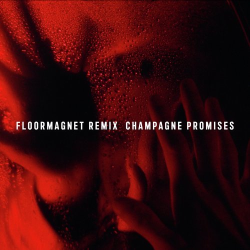 Champange Promises (Floormagnet Remix)_poster_image