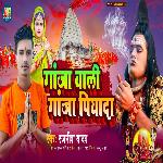 Ganja Wali Ganja Piyada