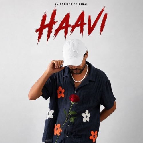 Haavi