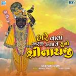 Hare Vala Arji Amari Suno Shrinathji